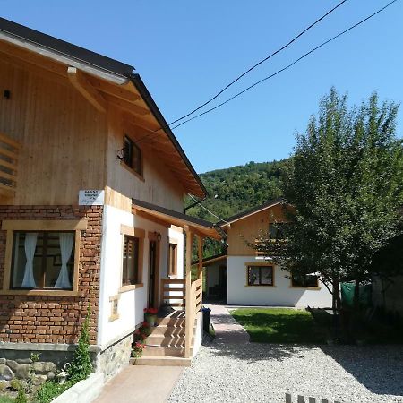 Guest House Carpathia Vişeu de Sus 외부 사진