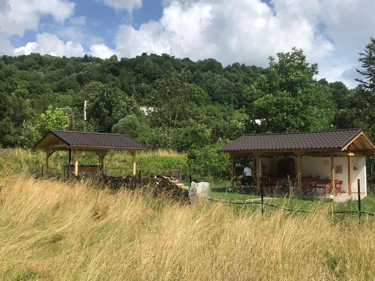 Guest House Carpathia Vişeu de Sus 외부 사진