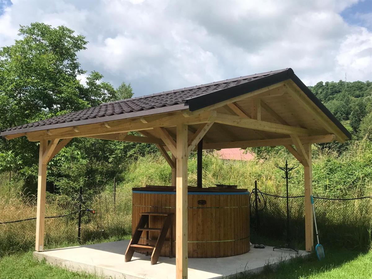 Guest House Carpathia Vişeu de Sus 외부 사진