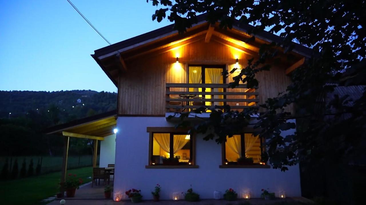 Guest House Carpathia Vişeu de Sus 외부 사진