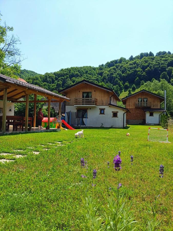 Guest House Carpathia Vişeu de Sus 외부 사진