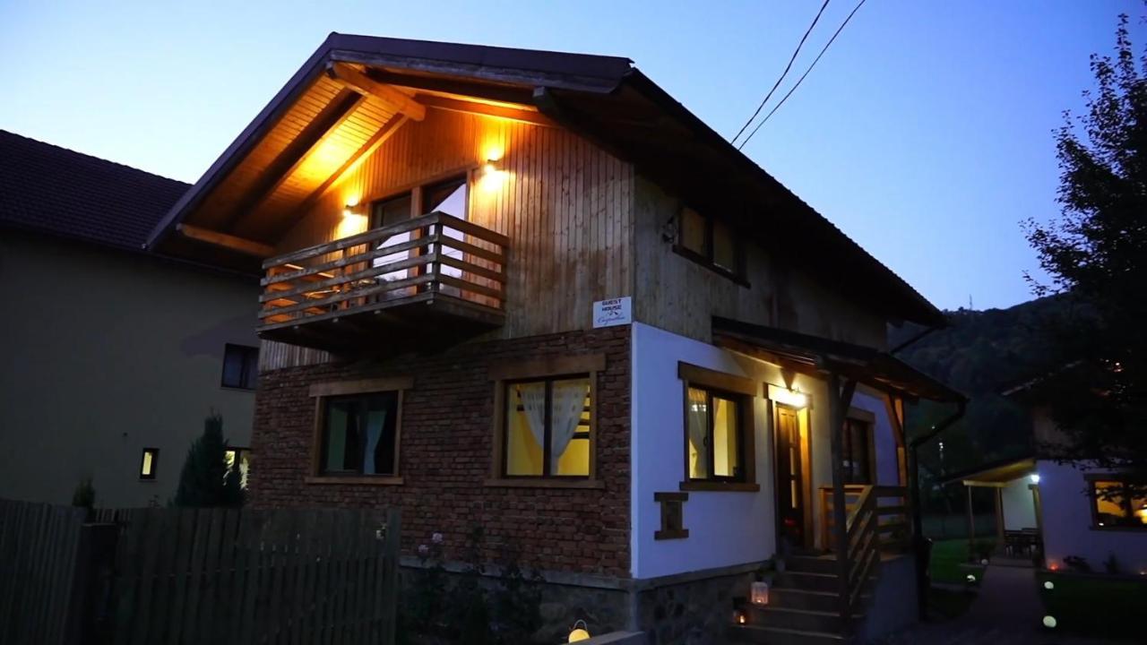 Guest House Carpathia Vişeu de Sus 외부 사진
