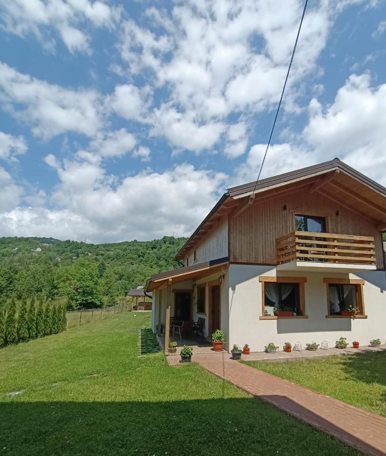 Guest House Carpathia Vişeu de Sus 외부 사진