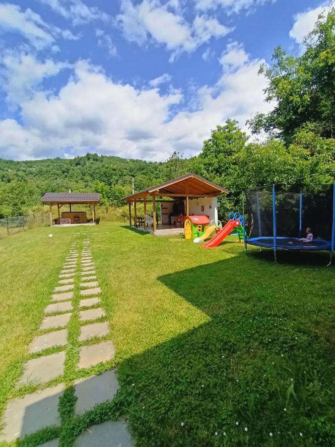 Guest House Carpathia Vişeu de Sus 외부 사진