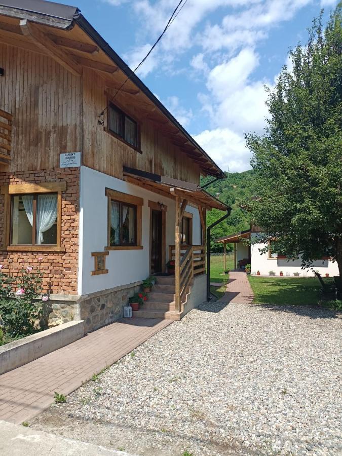 Guest House Carpathia Vişeu de Sus 외부 사진