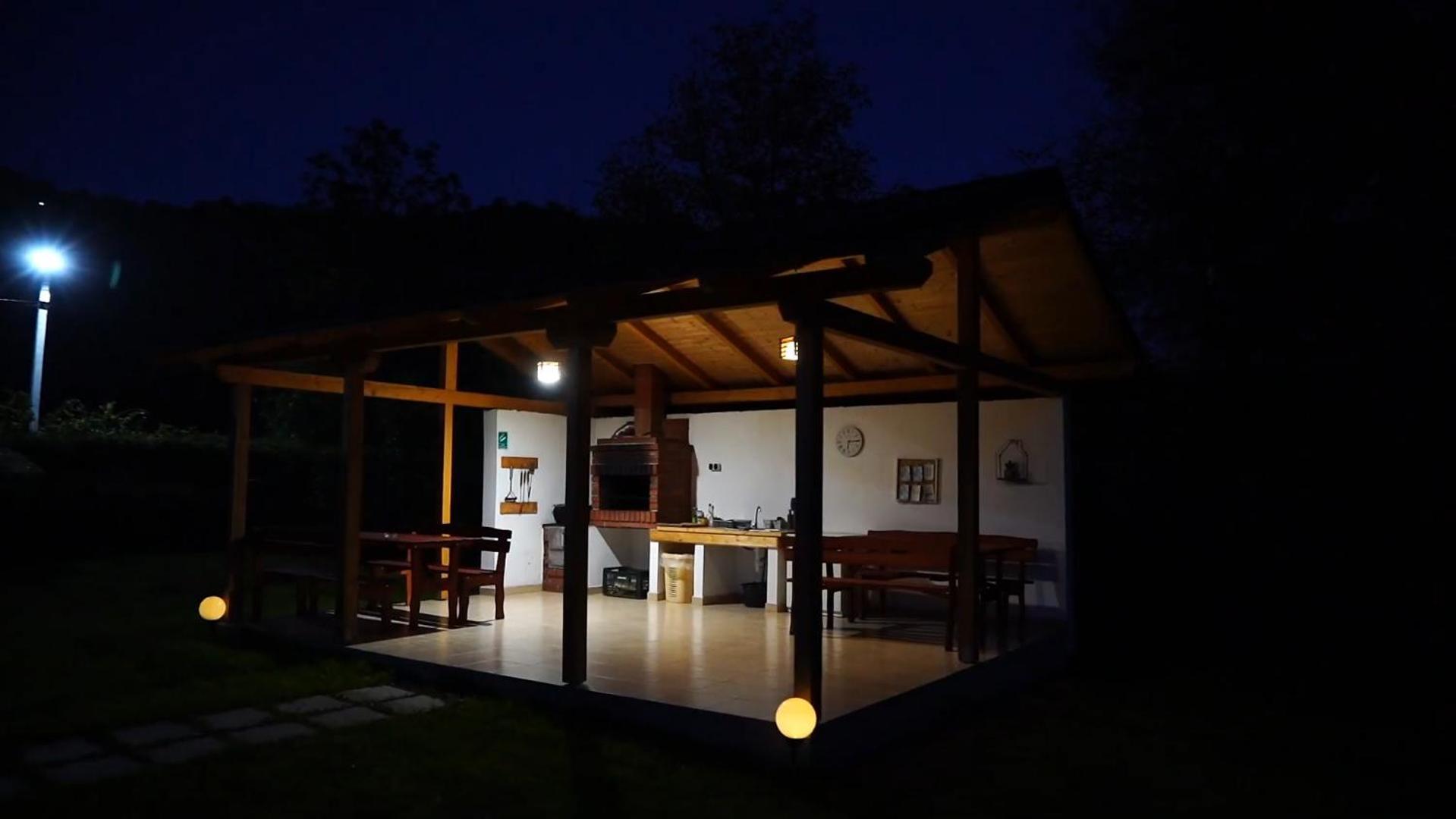 Guest House Carpathia Vişeu de Sus 외부 사진
