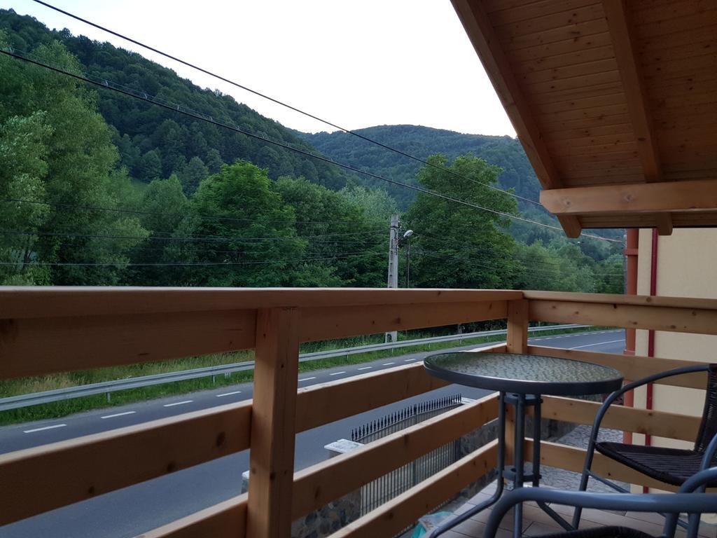 Guest House Carpathia Vişeu de Sus 외부 사진