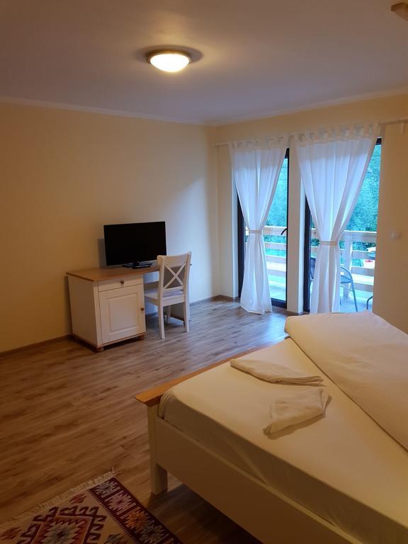 Guest House Carpathia Vişeu de Sus 외부 사진