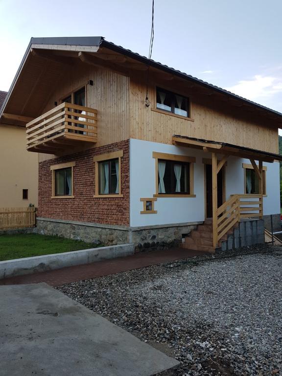 Guest House Carpathia Vişeu de Sus 외부 사진