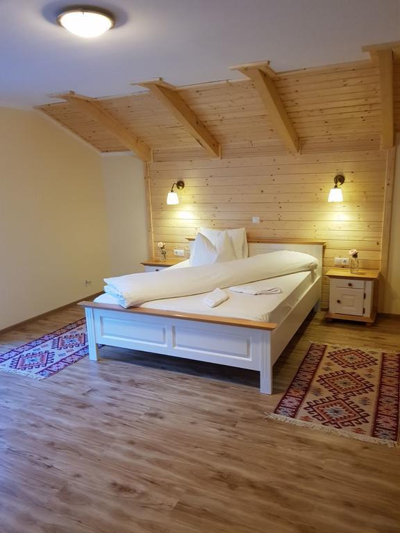 Guest House Carpathia Vişeu de Sus 외부 사진