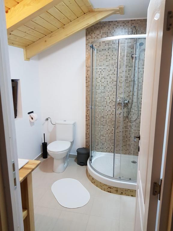 Guest House Carpathia Vişeu de Sus 외부 사진