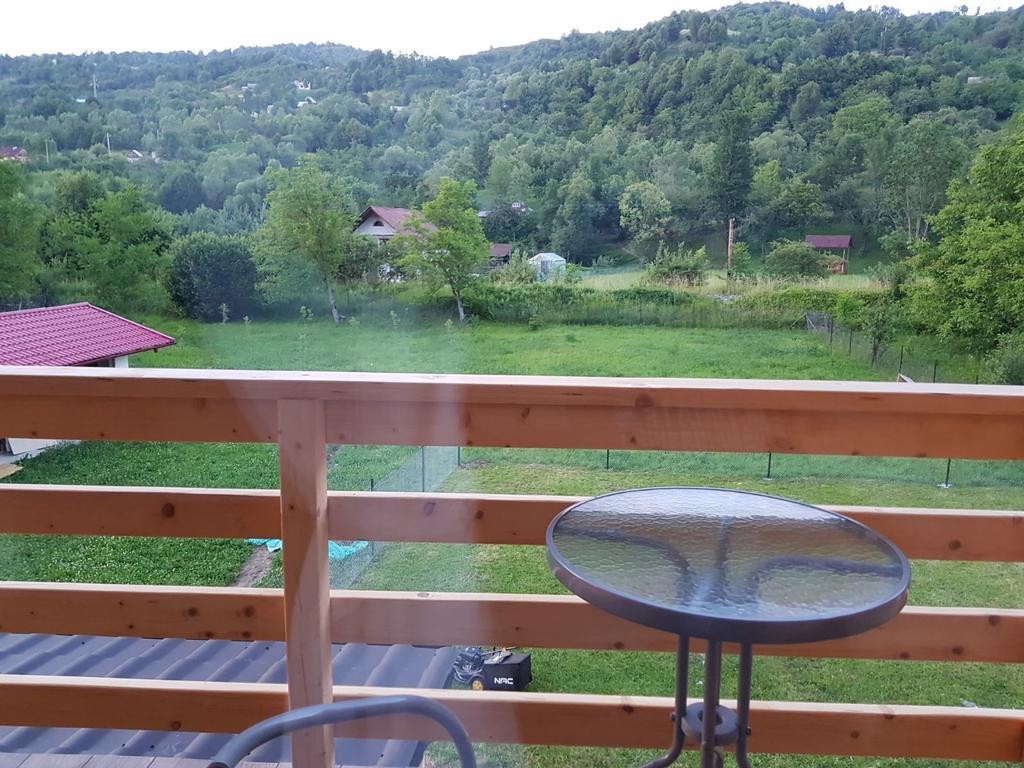 Guest House Carpathia Vişeu de Sus 외부 사진