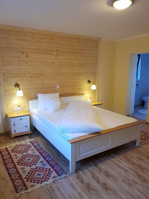 Guest House Carpathia Vişeu de Sus 외부 사진