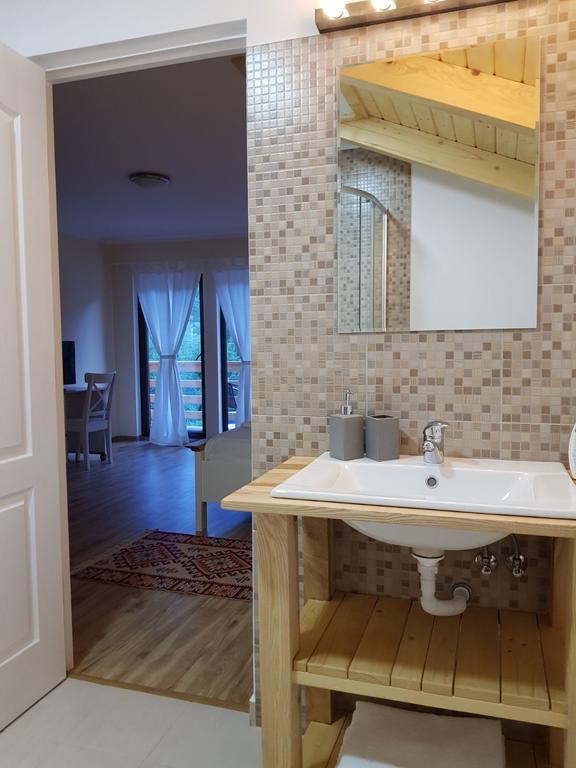 Guest House Carpathia Vişeu de Sus 외부 사진