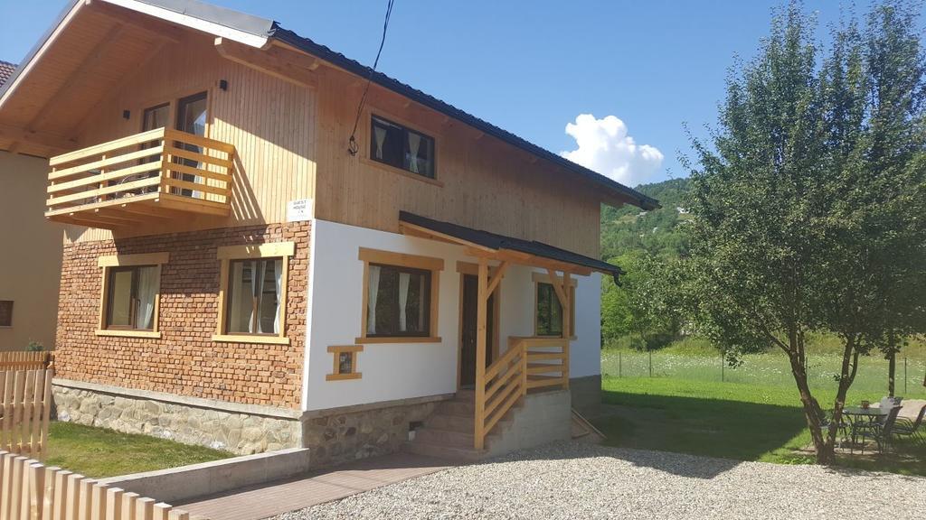 Guest House Carpathia Vişeu de Sus 외부 사진