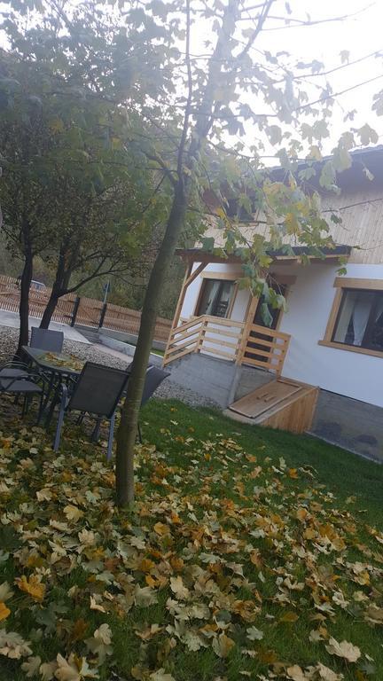 Guest House Carpathia Vişeu de Sus 외부 사진