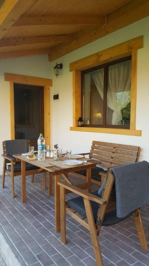 Guest House Carpathia Vişeu de Sus 외부 사진