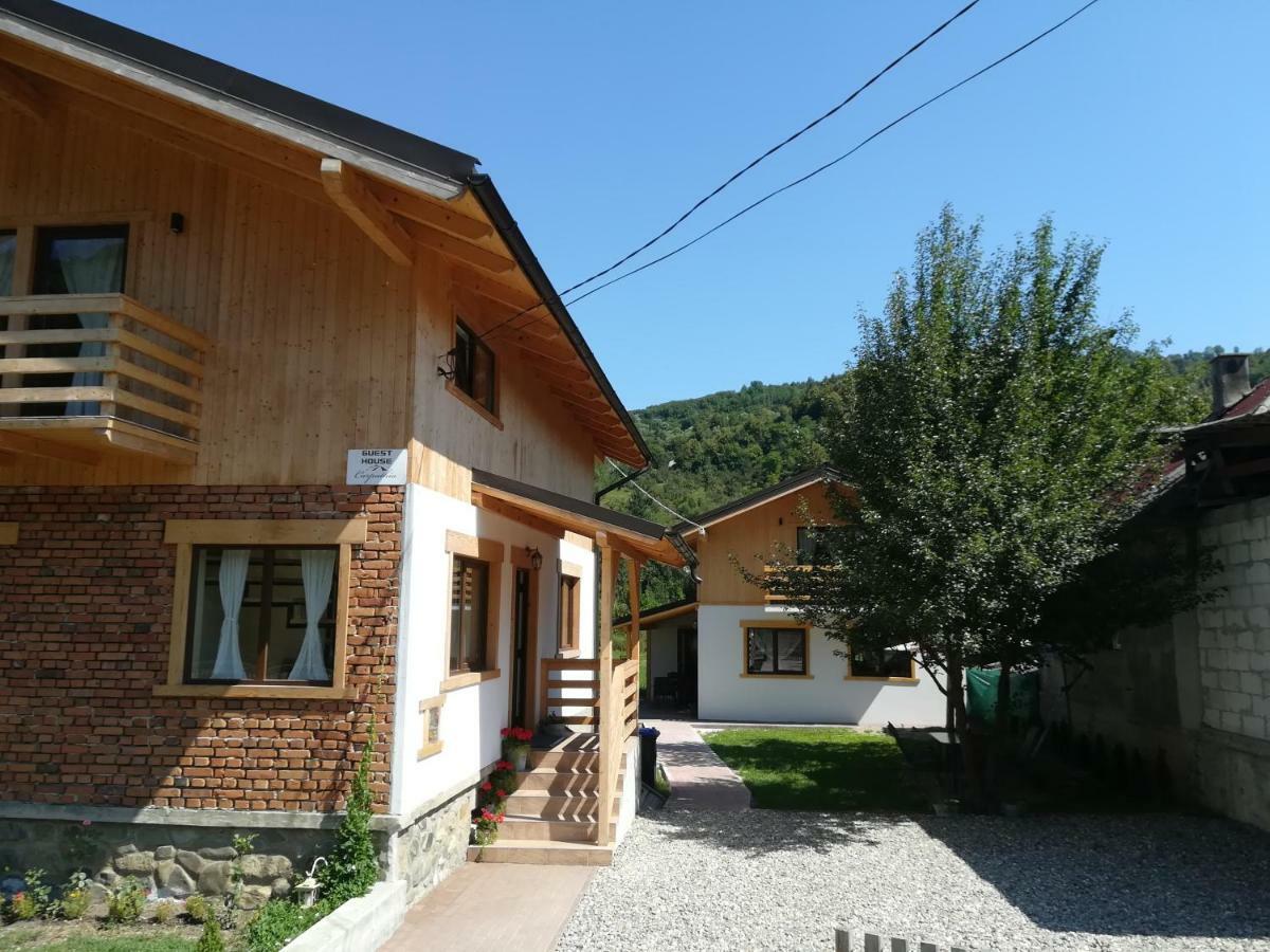 Guest House Carpathia Vişeu de Sus 외부 사진