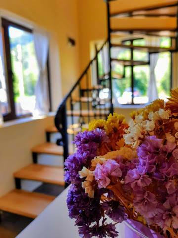 Guest House Carpathia Vişeu de Sus 외부 사진