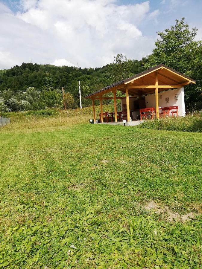 Guest House Carpathia Vişeu de Sus 외부 사진